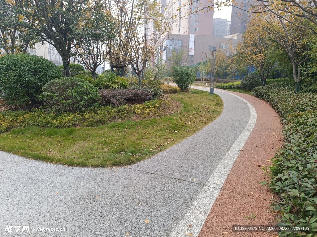 城市中的蜿蜒小径