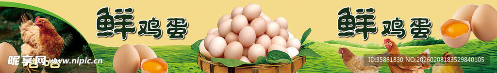 新鲜蔬果鸡蛋开启健康生活