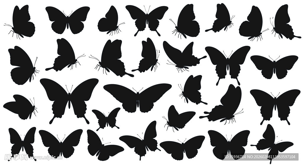 蝴蝶剪影图案