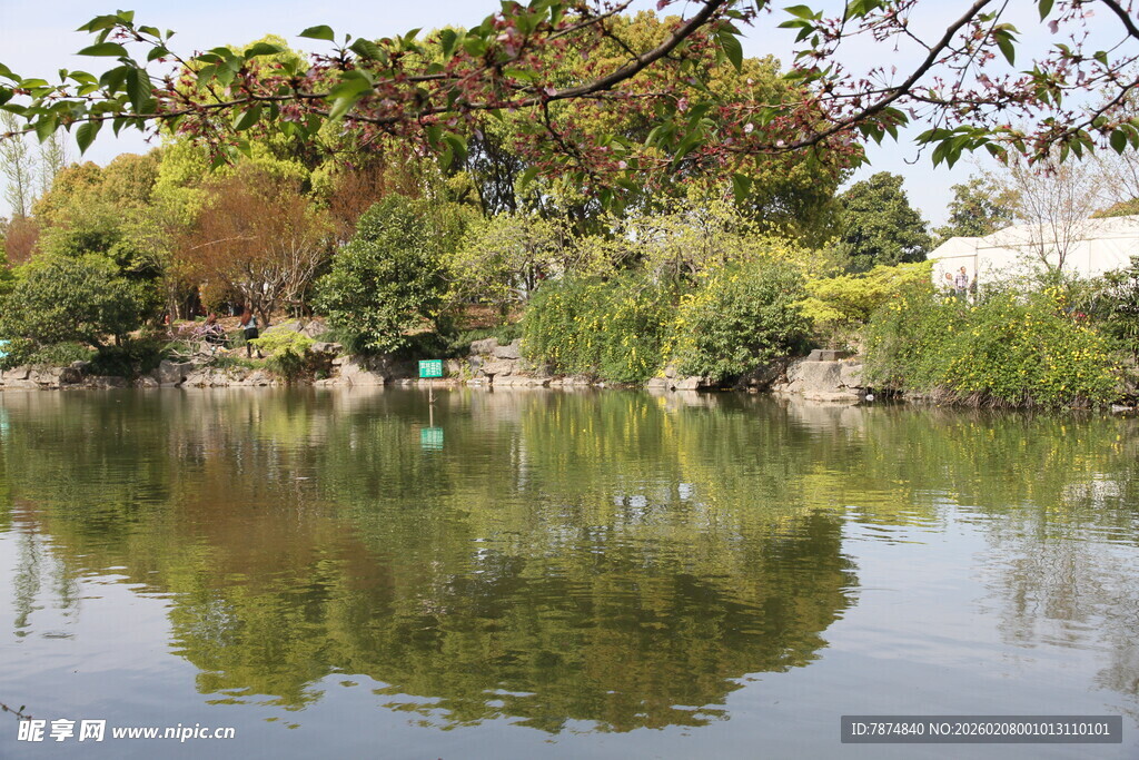 湖畔绿植倒影美景