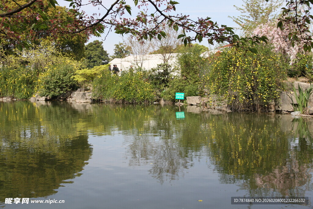 宁静湖畔的自然景致