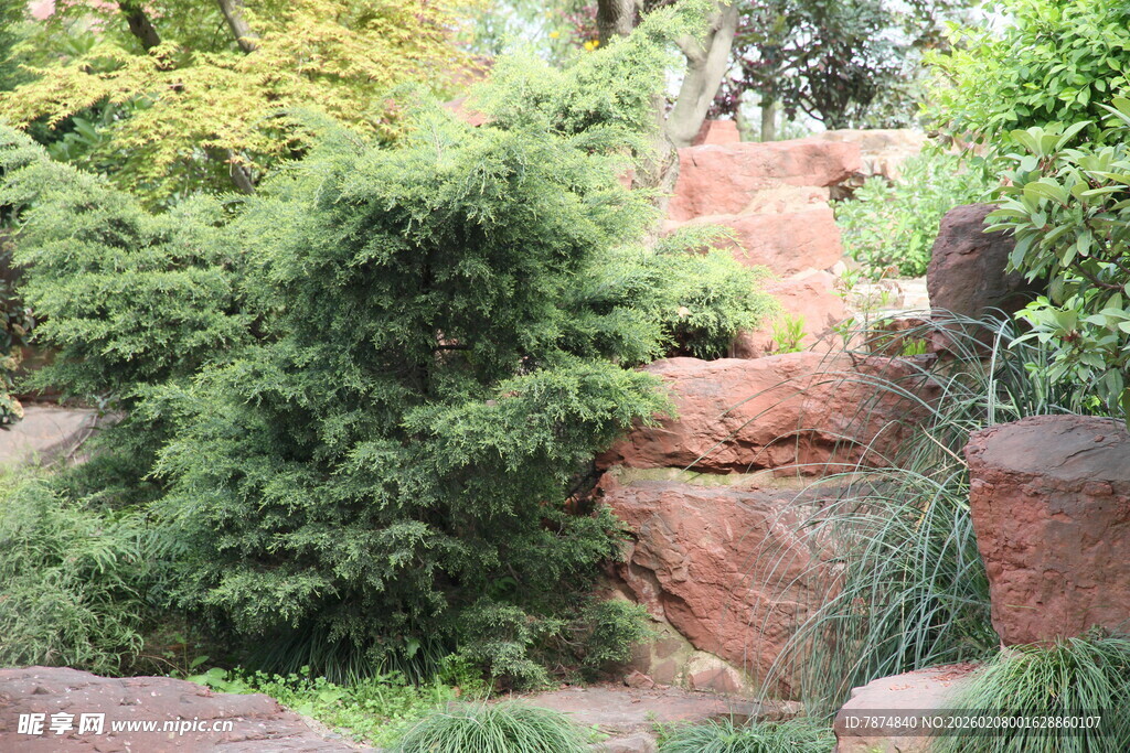 自然山石绿植景观