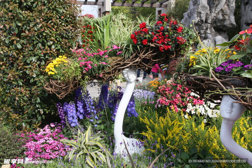 多彩花卉景观展示