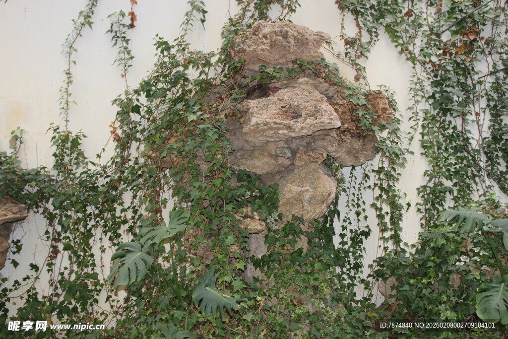 藤蔓缠绕的古朴石雕头像