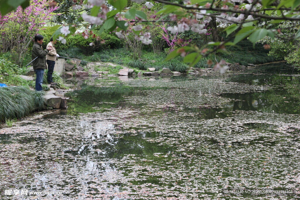 春日溪边赏景的人