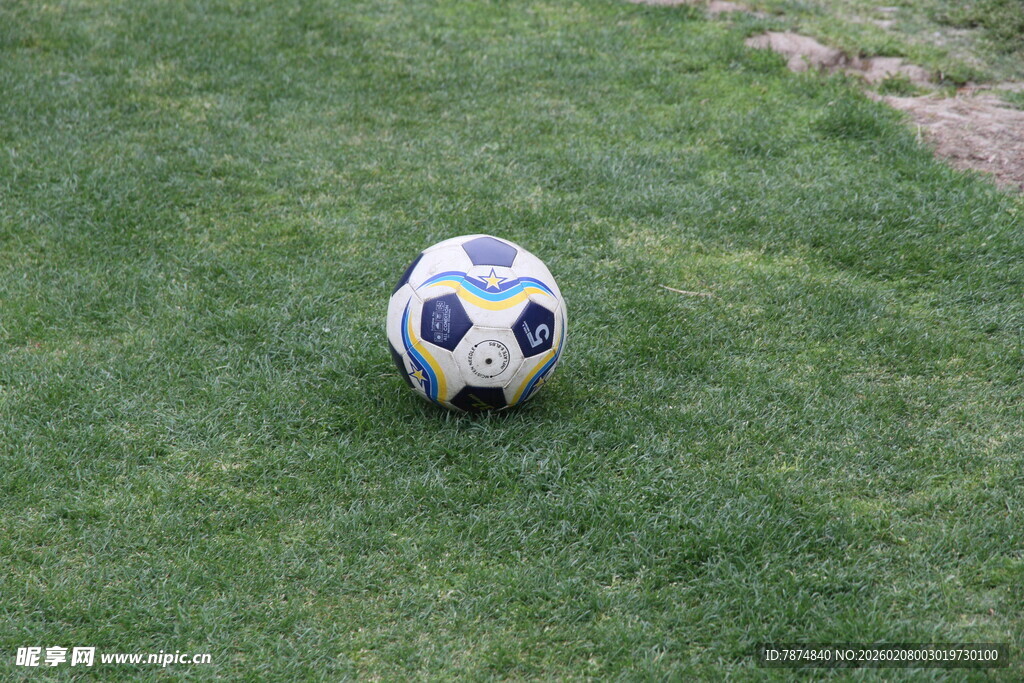 绿茵上的足球