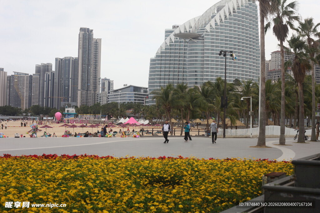 城市花坛旁的现代建筑景观