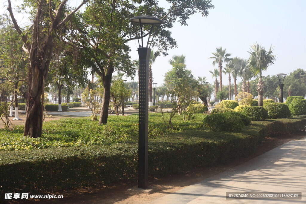 湛江公园林荫小道景观