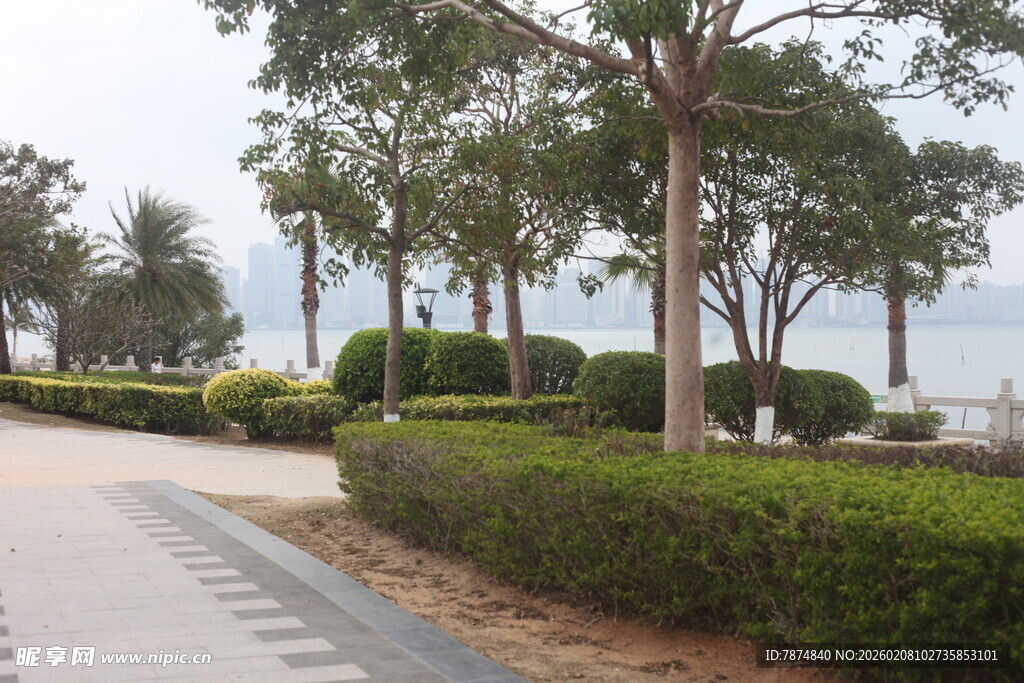 湛江城市林荫步道景观