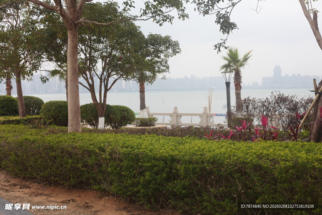 湛江海滨绿植景观