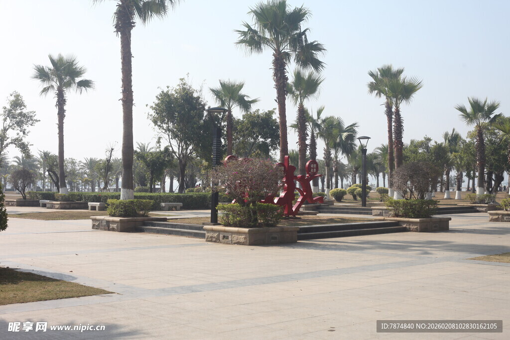 湛江海滨广场的棕榈树景观