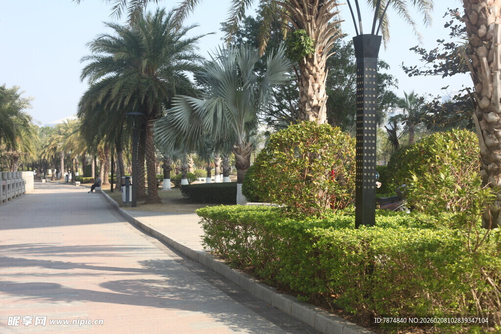 湛江林荫步道 绿植环绕的惬意