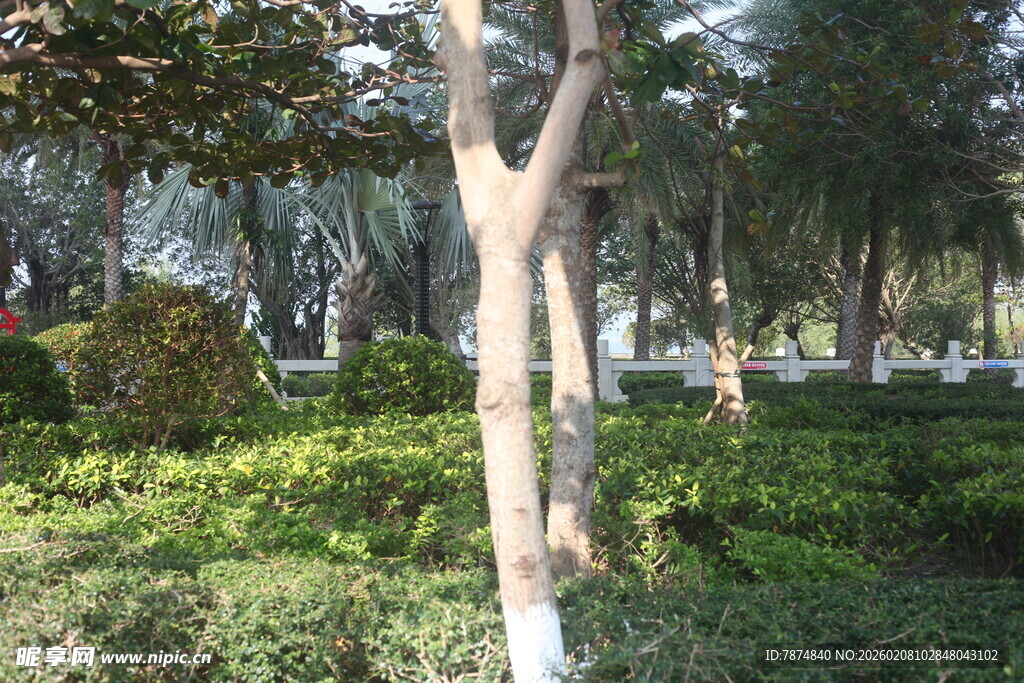 湛江城市中的绿意盎然园林景观