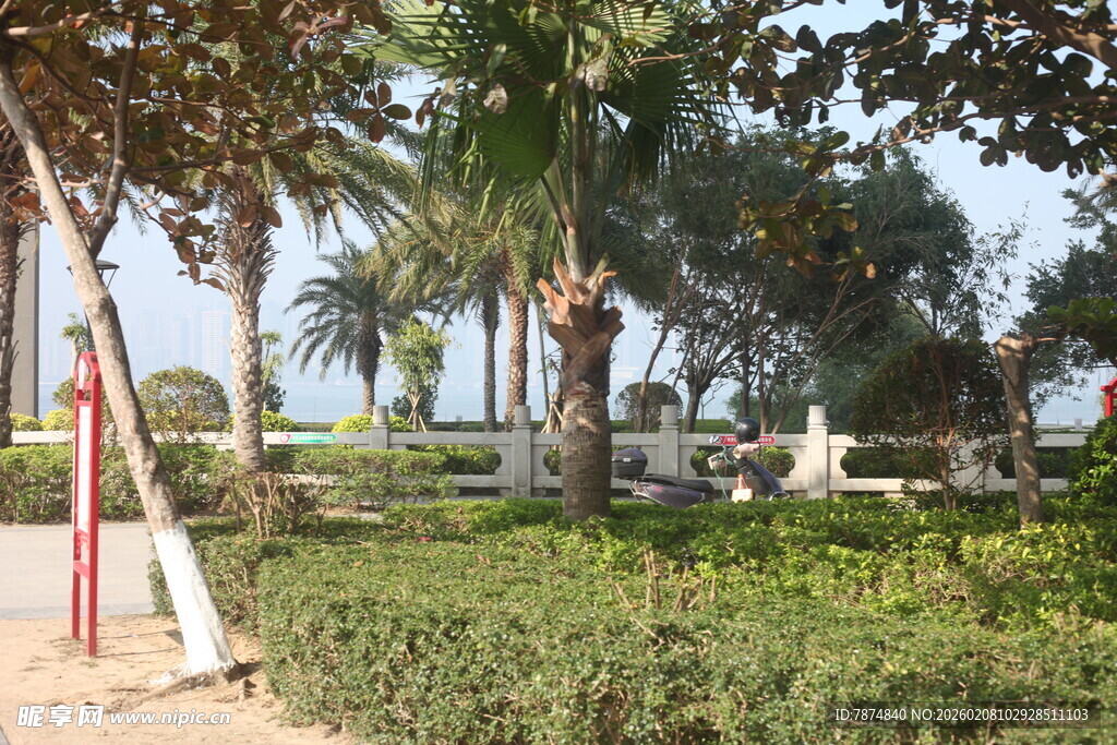 湛江热带园林景观绿植风光