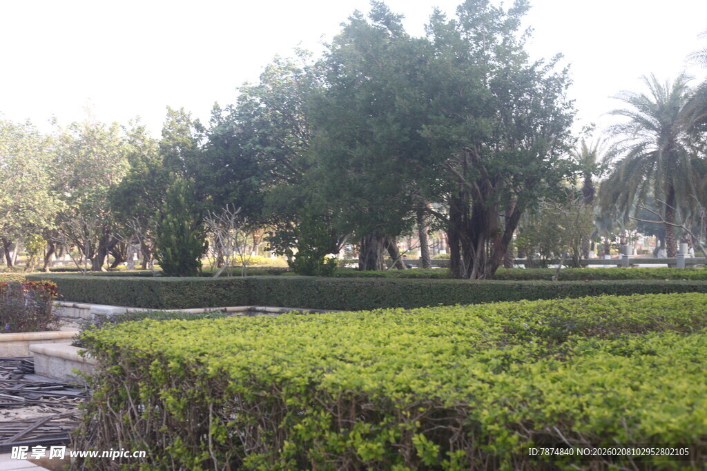 湛江城市中的绿意盎然景观