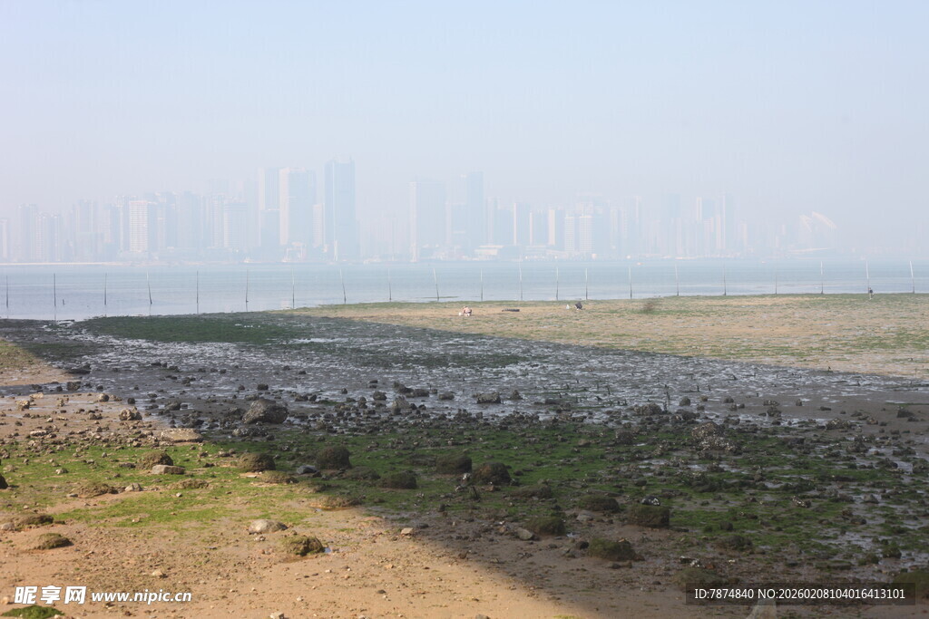 湛江城郊荒地景观