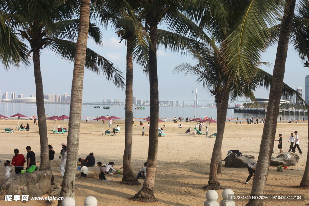 湛江热闹的海滨椰林沙滩场景