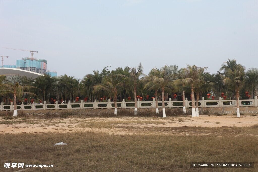 湛江户外开阔园林场景