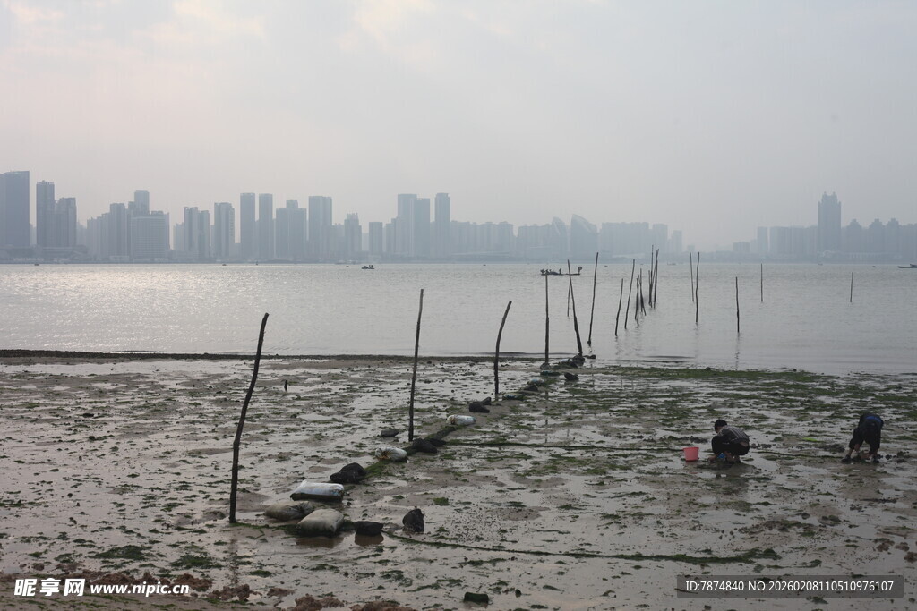 湛江江边滩涂景象