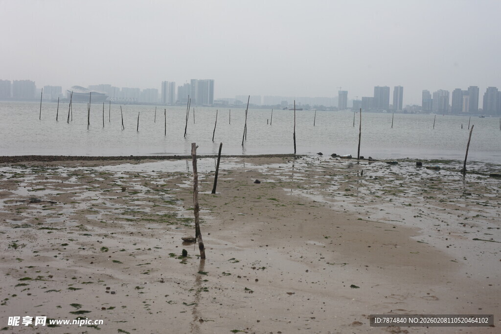 湛江海边滩涂景象