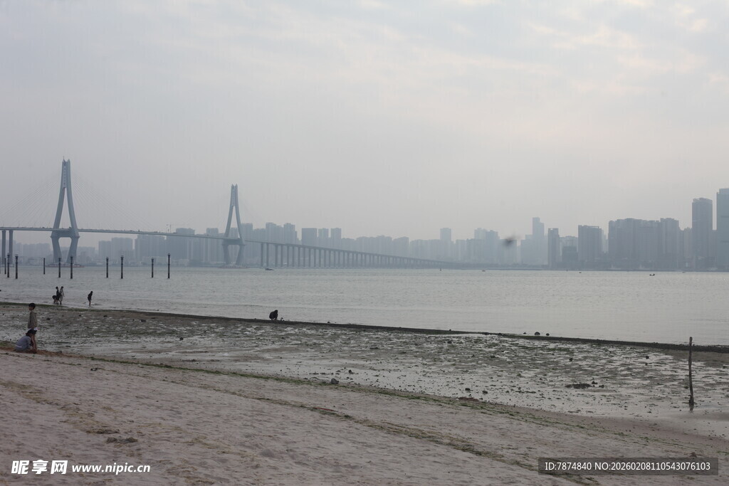 湛江江边城市景观与桥梁远景