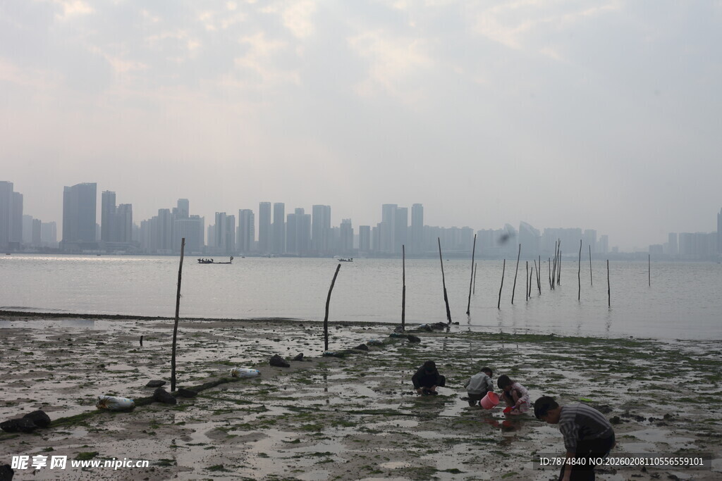 湛江城市畔滩涂赶海景象