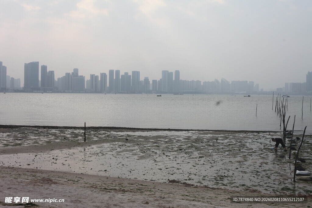 湛江江边城市景观