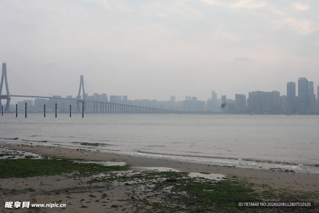 湛江江边城市风光与桥梁景观