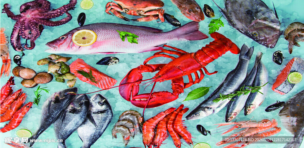 多彩海洋生物大集合