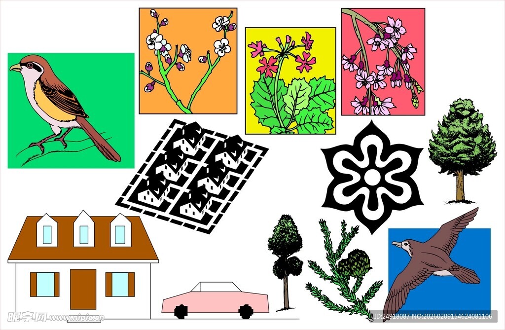 多彩手绘图案与自然元素