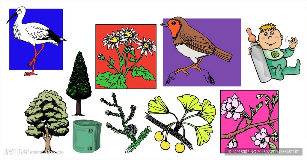 多样动植物插画素材