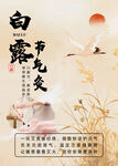 白露节气海报艾灸节气灸