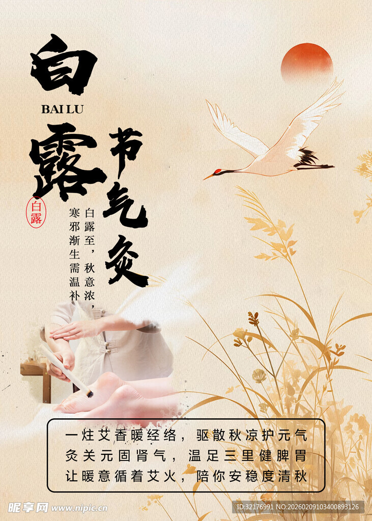 白露节气海报艾灸节气灸