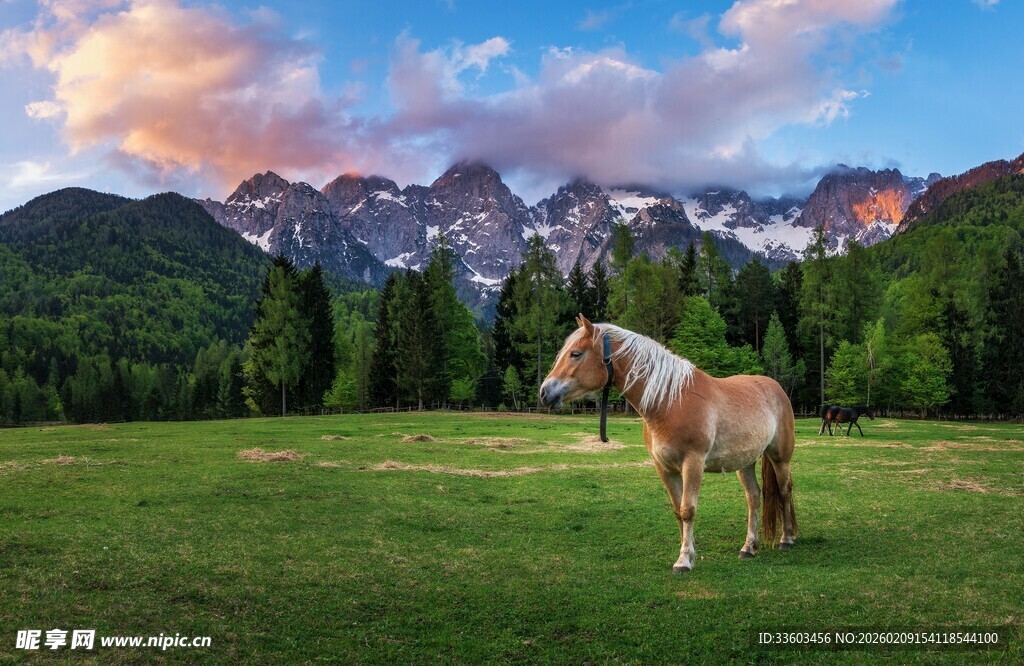 草原骏马与壮丽山景