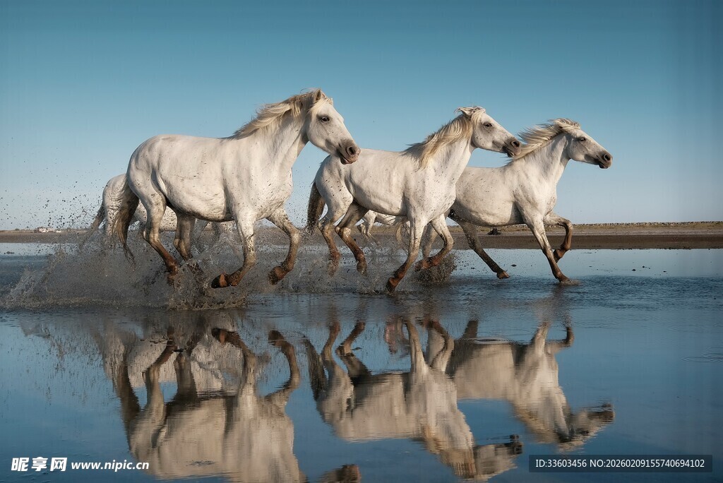 草原骏马奔腾于碧水之上