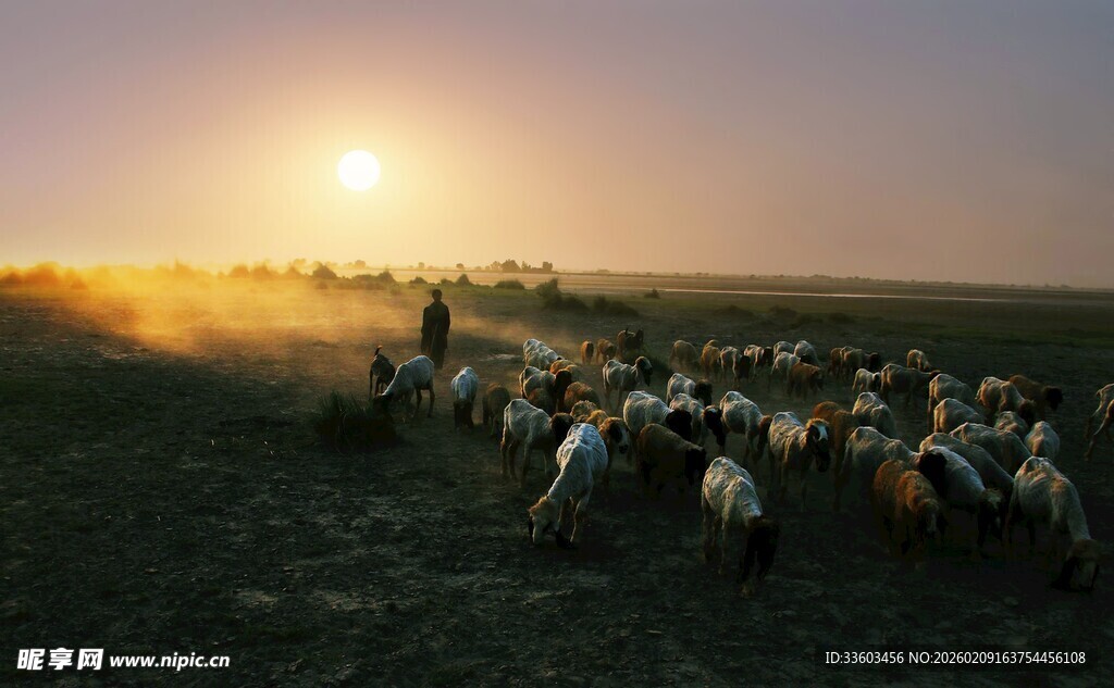 草原日落时的游牧场景