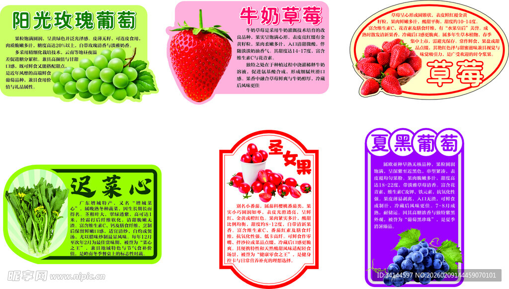 多彩果蔬标签设计集合