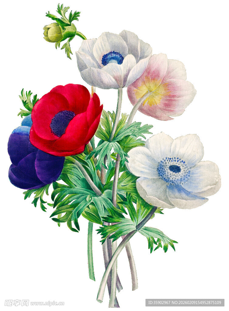 多彩花朵组合清新自然