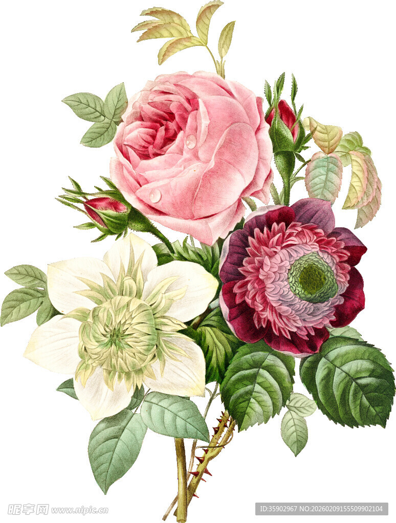 复古风花卉插画