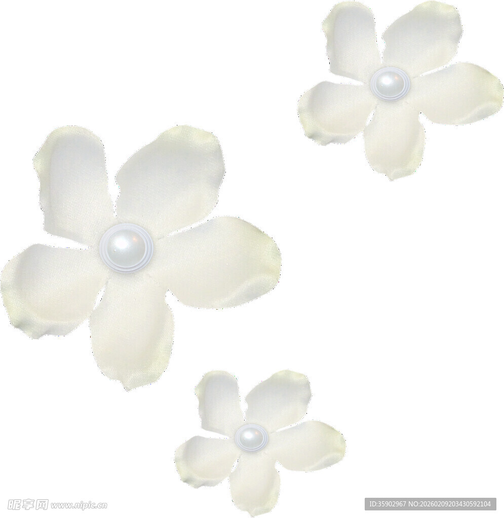 白色珍珠花朵装饰图案