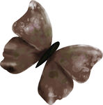 棕色蝴蝶图案装饰元素