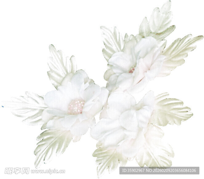 白色花卉插画清新雅致