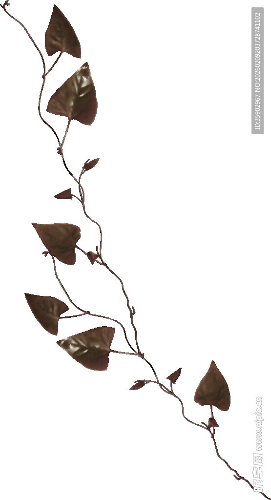 棕色藤蔓装饰枝条