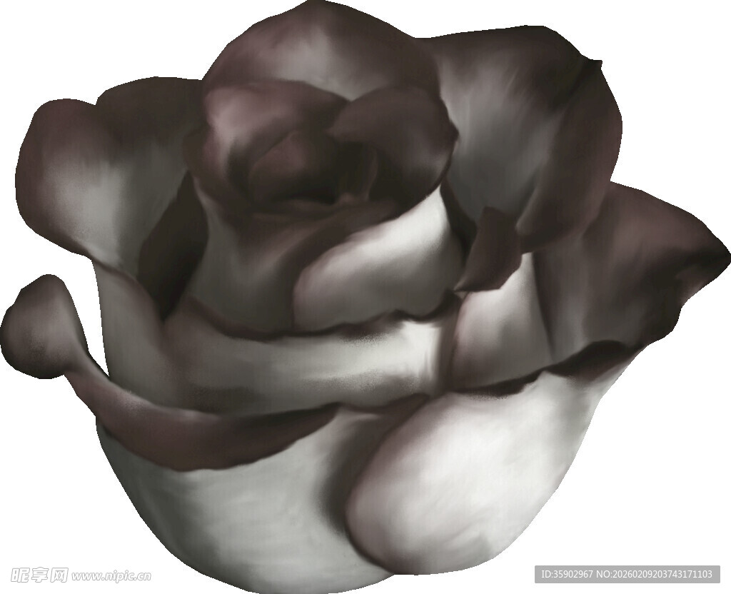 黑白风格抽象玫瑰花