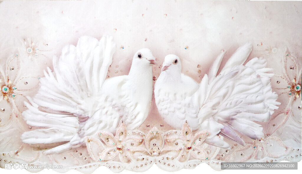 优雅白鸽相伴于梦幻花丛