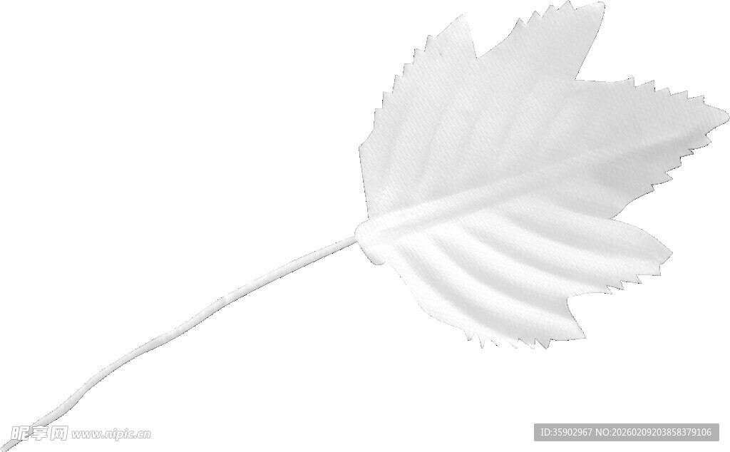 白色枫叶装饰素材