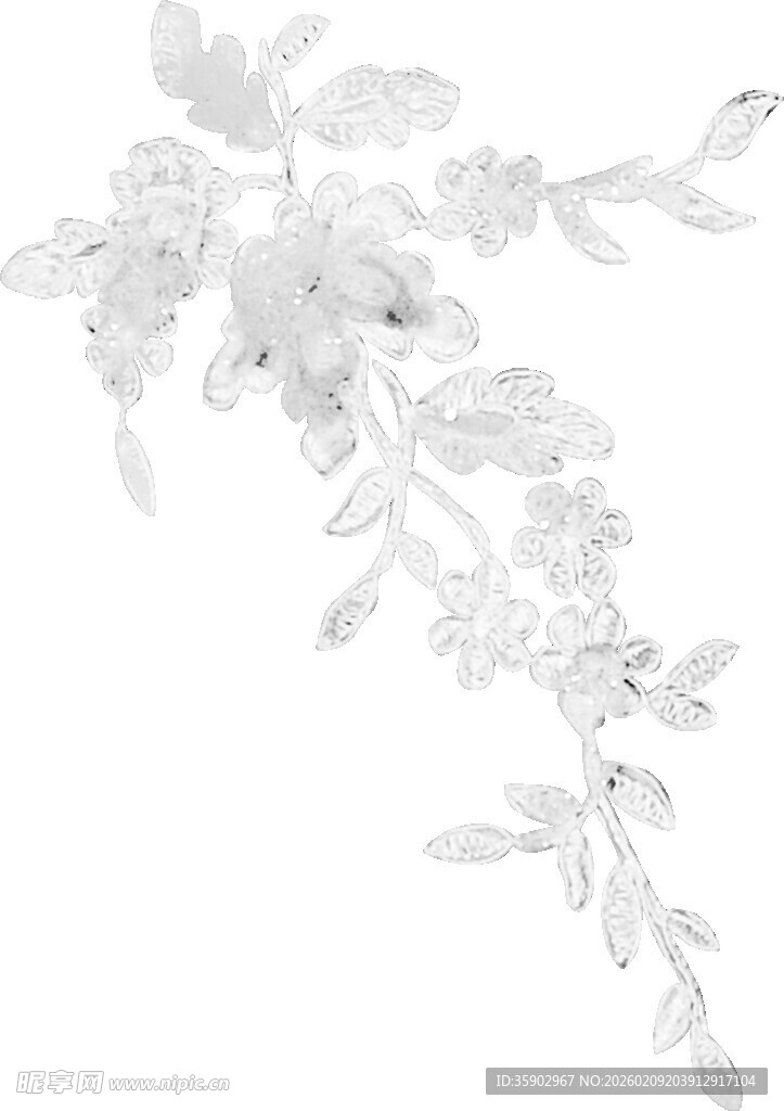 白色花卉枝叶装饰图案