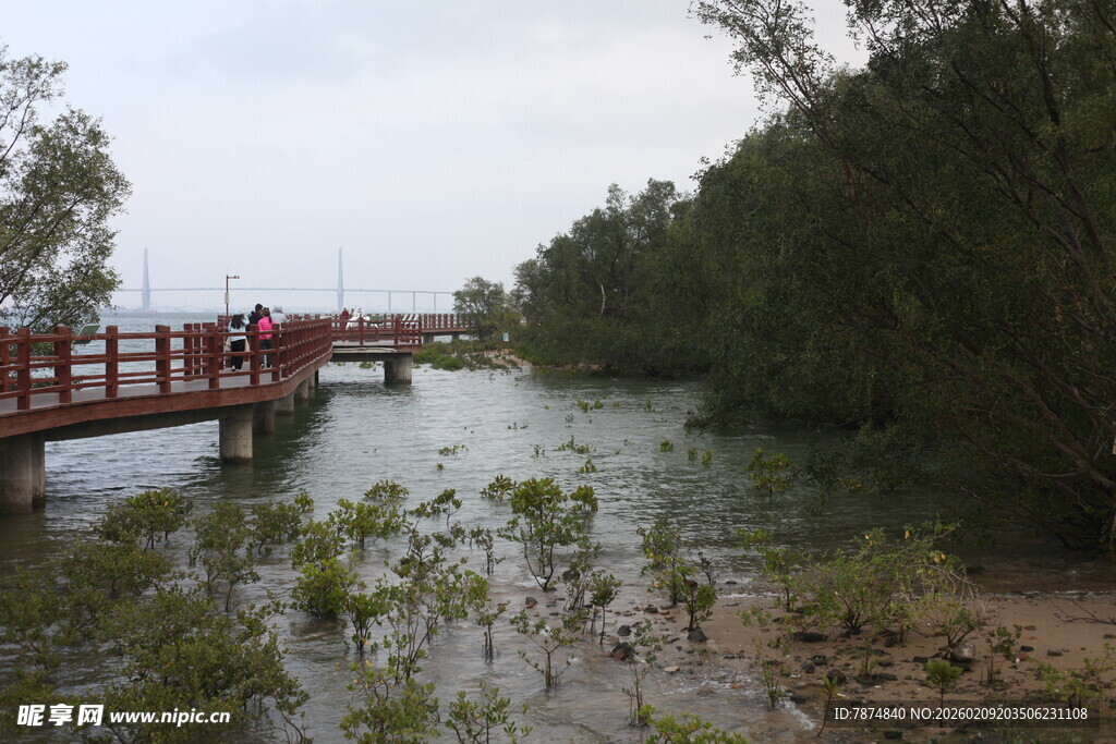 河畔红桥旁的葱郁植被