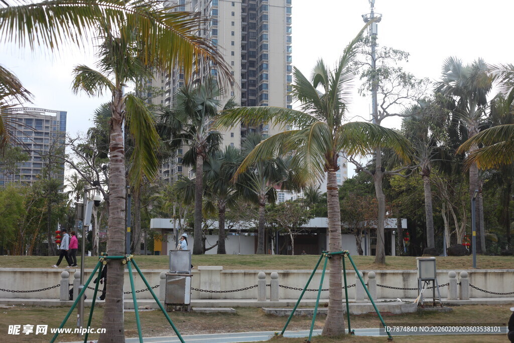 城市公园中的休闲健身场景