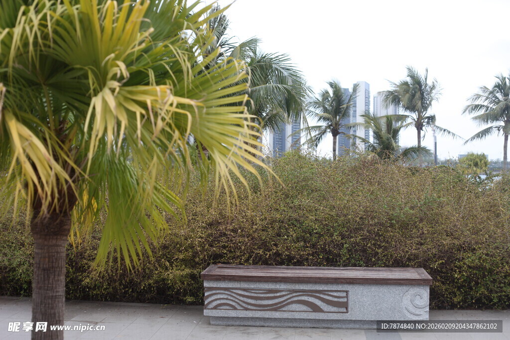 户外棕榈树旁的景观设施